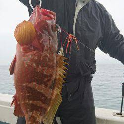 リトルワン 釣果