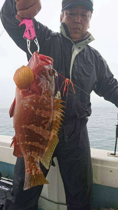 リトルワン 釣果