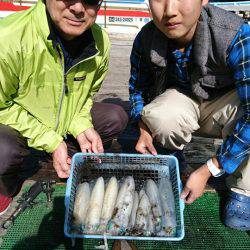 シードリーム 釣果