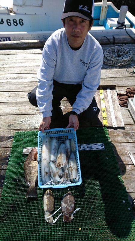 シードリーム 釣果