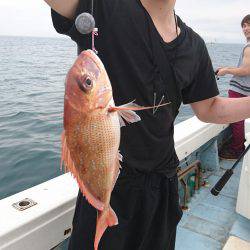 リトルワン 釣果