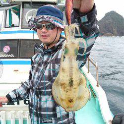 シードリーム 釣果