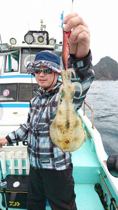 シードリーム 釣果