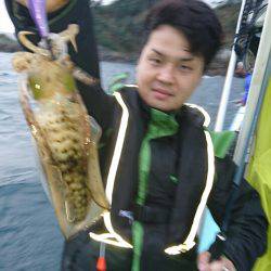 シードリーム 釣果