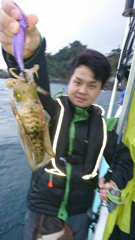 シードリーム 釣果