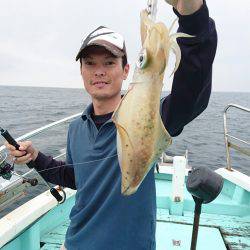 シードリーム 釣果