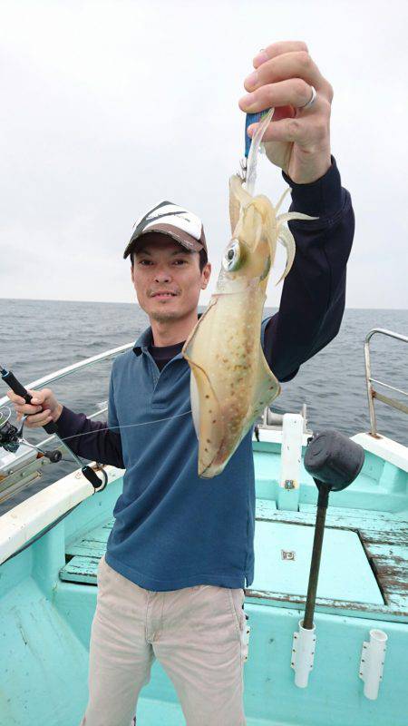 シードリーム 釣果