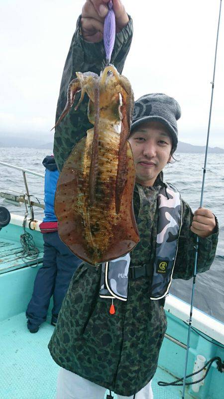 シードリーム 釣果