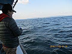 遊漁船 未紗奈 釣果