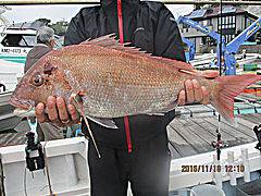 遊漁船 未紗奈 釣果