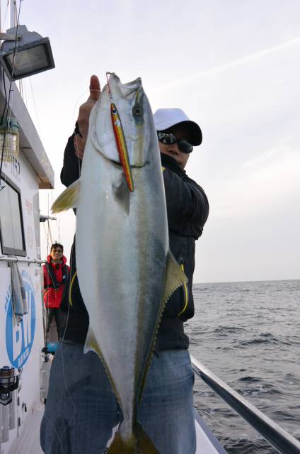 ジギング船 BLUEWATER 釣果