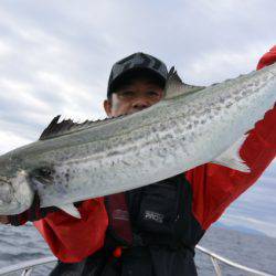 ジギング船 BLUEWATER 釣果