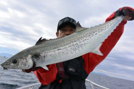 ジギング船 BLUEWATER 釣果