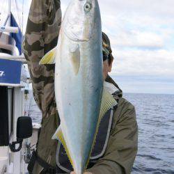 ジギング船 BLUEWATER 釣果