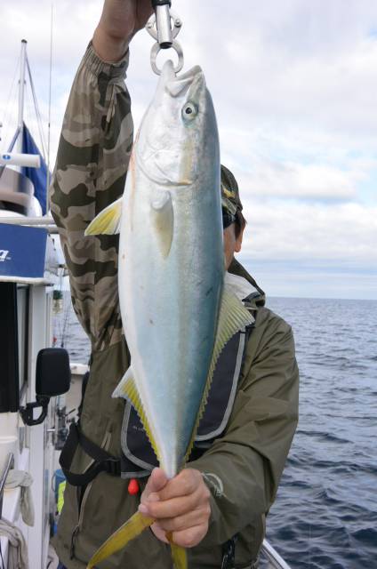 ジギング船 BLUEWATER 釣果