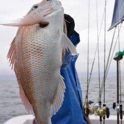 ジギング船 BLUEWATER 釣果