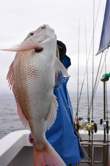 ジギング船 BLUEWATER 釣果