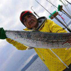 ジギング船 BLUEWATER 釣果