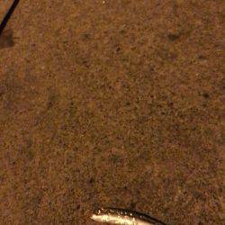 常夜灯リベンジ