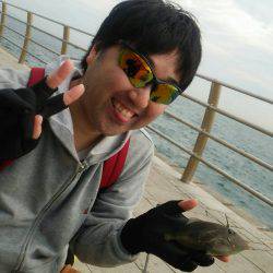 秋アオリが釣りたい　～season2淡路遠征～