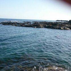 アオリイカ狙いで今日も行ってきました。