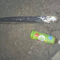 朝まずめ爆風前に釣れました。