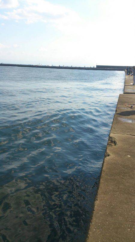 西宮ケーソンサビキ