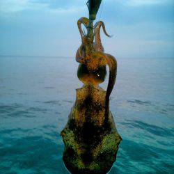 寒波がくる前に。