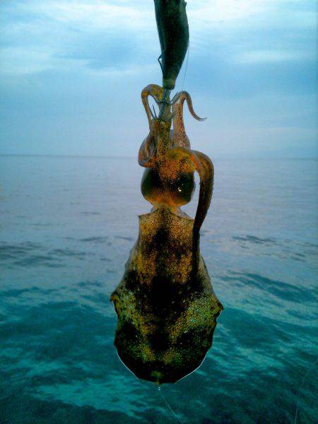 寒波がくる前に。