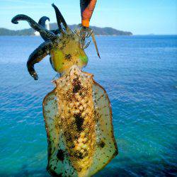 そろそろ終わりかなぁ～！