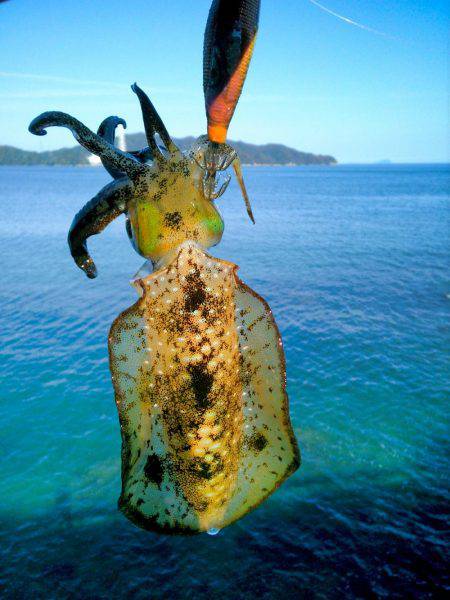 そろそろ終わりかなぁ～！