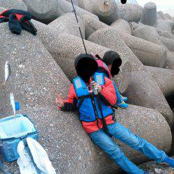 アジまだいるかな？