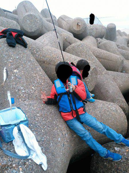 アジまだいるかな？