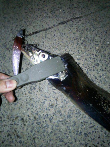 短時間ワインド