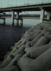 ワインドのはずが