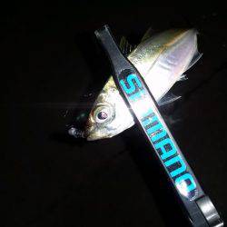 980ロッドデビュー