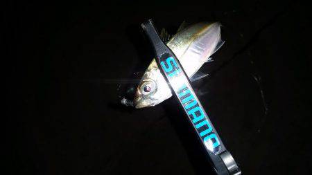 980ロッドデビュー