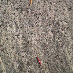 ティップランプラス釣法をマネてみた