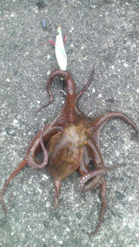 変わった釣り方は要注意！！