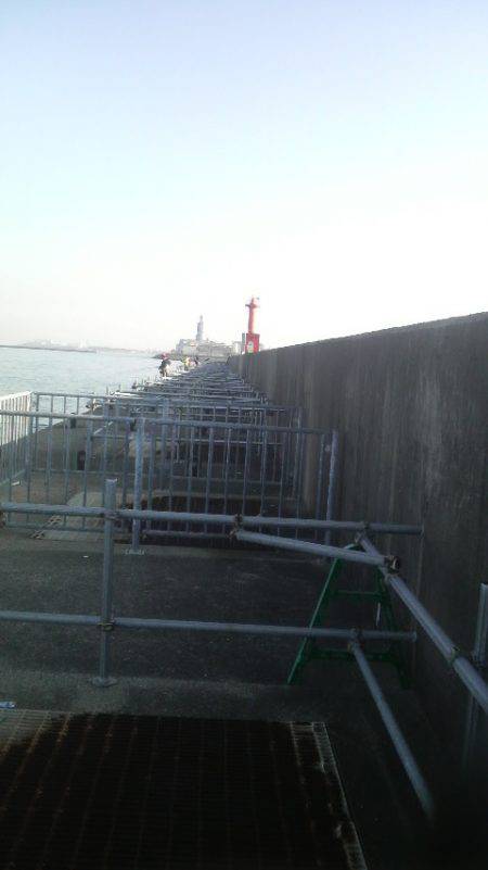 タコに集中した