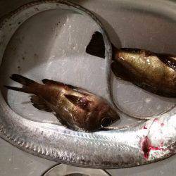 ライトソルト！