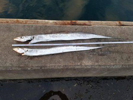 あと３㎝…(　ＴДＴ)