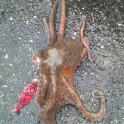 今日はダメかと思ったが・・・◎