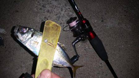 砂地のポイントでアジング！！