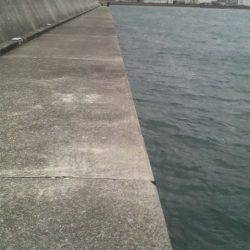 無敗記録継続中!(12回行って12回ともタコが釣れた)