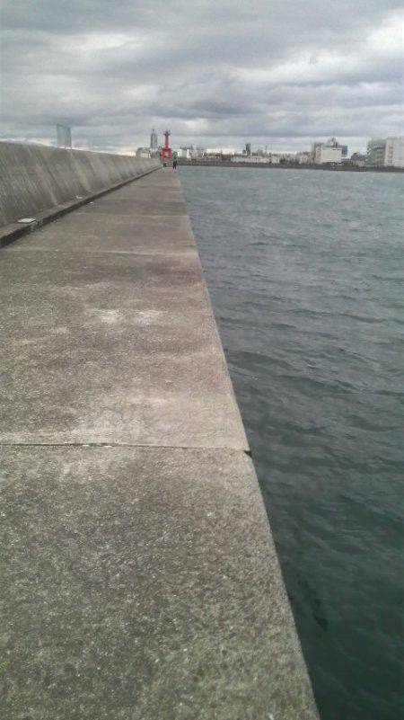 無敗記録継続中!(12回行って12回ともタコが釣れた)