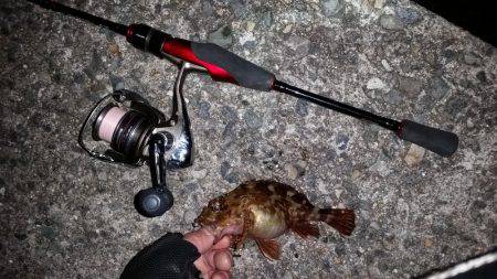 メバル狙いで南下！