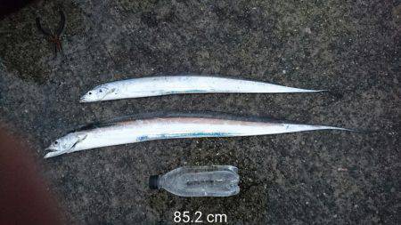 この時期の雨はツライ