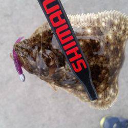 何気に初めて釣りましたー！