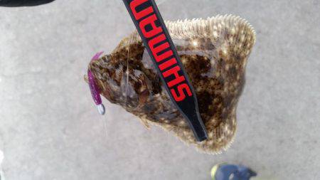 何気に初めて釣りましたー！